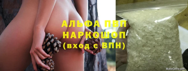 ГАЛЛЮЦИНОГЕННЫЕ ГРИБЫ Покачи