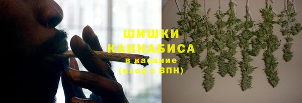 ешки Иннополис