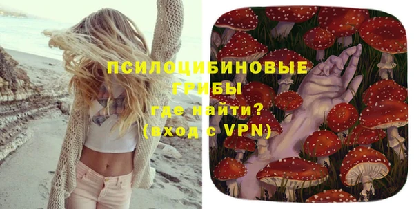 apvp Каменногорск