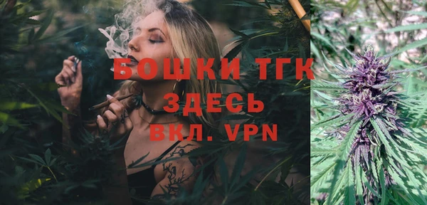 ГАЛЛЮЦИНОГЕННЫЕ ГРИБЫ Покачи