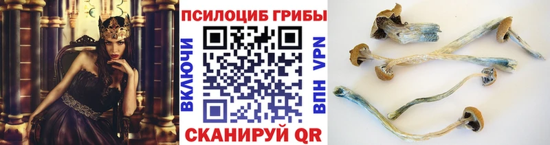 цены   Каменск-Шахтинский  Галлюциногенные грибы Psilocybe 